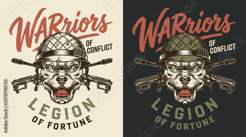 Foto Warriors of conflict military dog