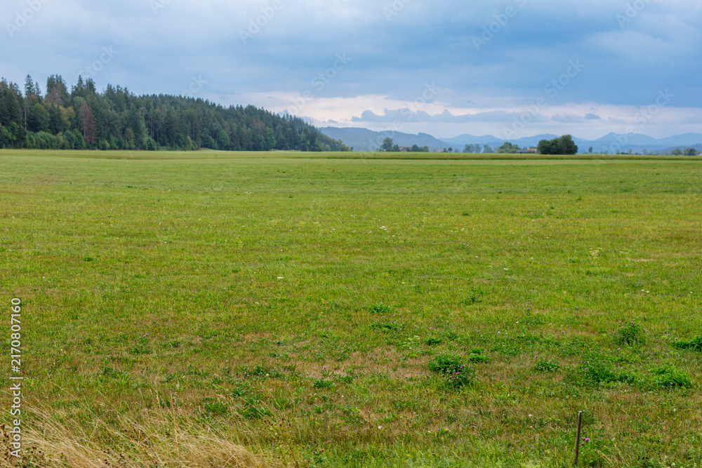 Naklejka premium Expansive green meadow with a dense forest line and rolling hills under a cloudy sky, evoking peace.