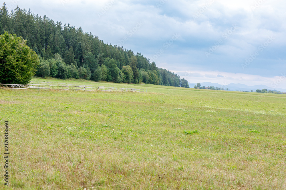 Naklejka premium Vast green meadow leading to a dense forest under an overcast sky with distant mountains.