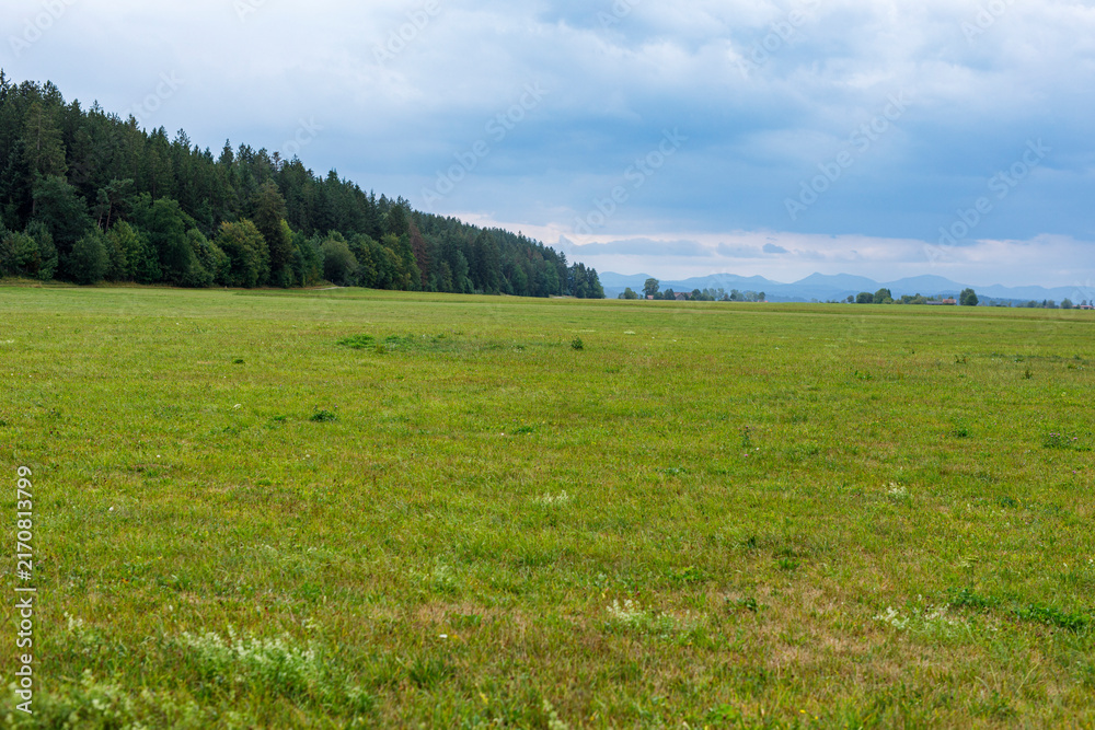 Naklejka premium Vast green meadow stretches towards a dense forest line with hazy mountains under an overcast sky.