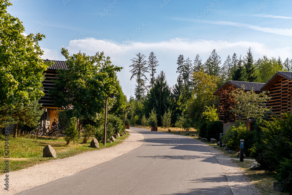 Fototapeta premium Scenic paved road winding through a peaceful forest resort with contemporary wooden lodges and lush