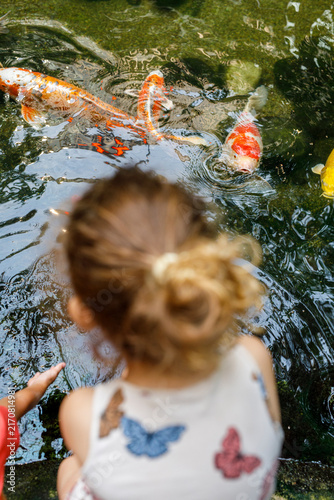 Obraz na płótnie Child's hands reach into a pond to interact with vibrant koi fish, fostering cur