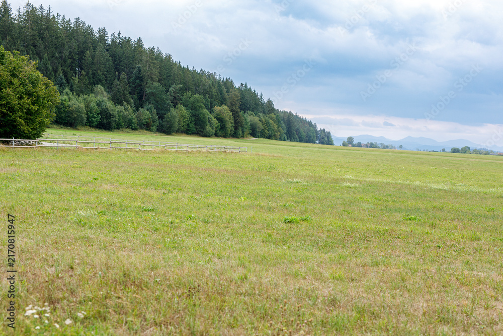 Naklejka premium Expansive green field with a dense forest line, wooden fence, and distant mountains under a cloudy s