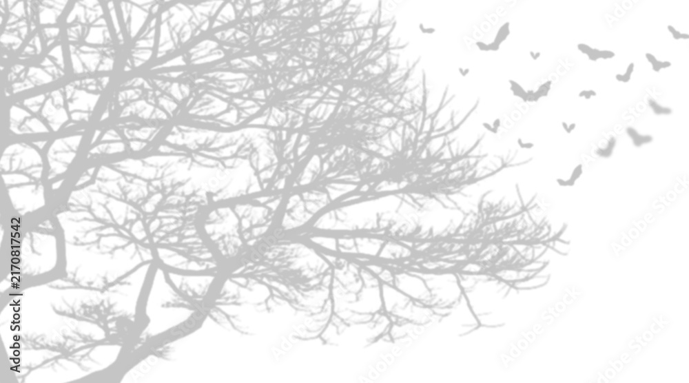 Fototapeta premium Bare tree branches silhouette with bats isolated on transparent background