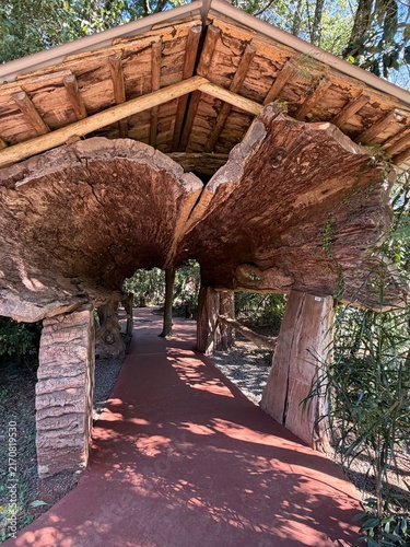 Rustic Wooden Entrance Built with Massive Tree Trunks in a Forest Setting
