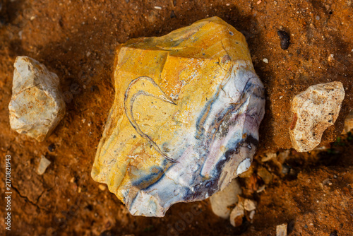 Bild auf Leinwand Detailed view of a textured patinated flint fragment resting on rough earthen gr