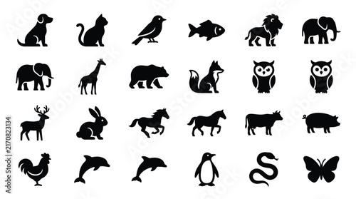 Adobe Illustrator Artwork