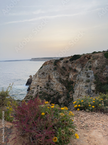 Rocky coastal cliffs with wildflowers at sunset in Algarve