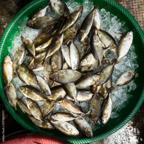 Fisch