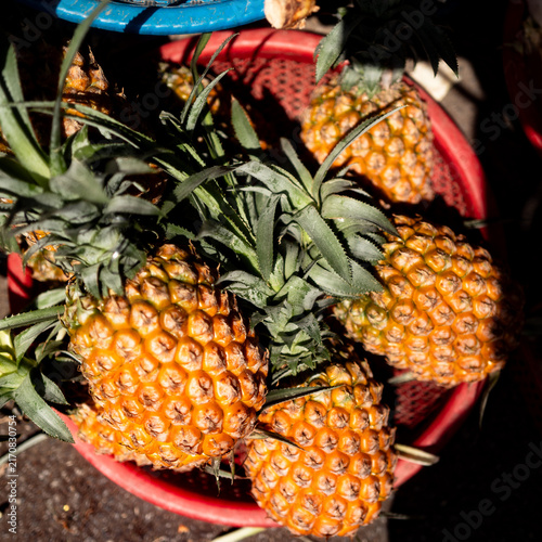 Ananas