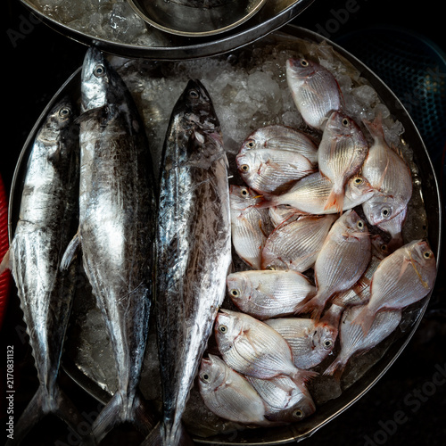 Fische