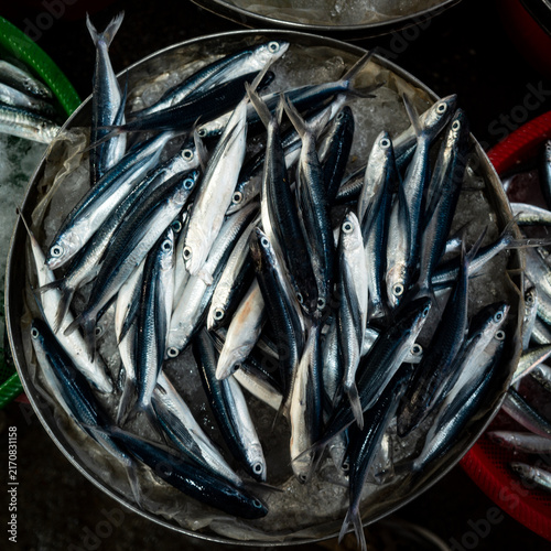 Fische