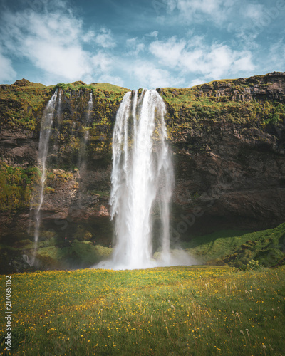 Seljalandsfoss waterfall with wildflowers in summer, Iceland