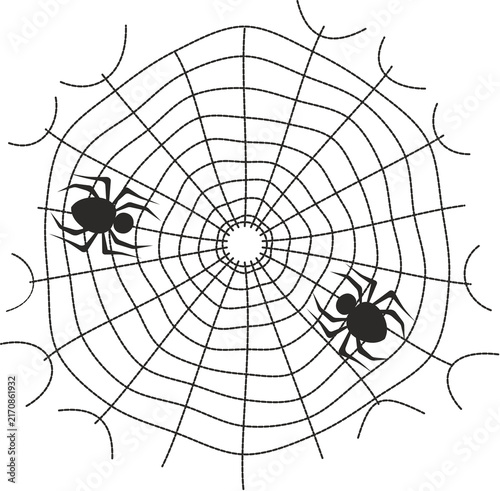 spider and web