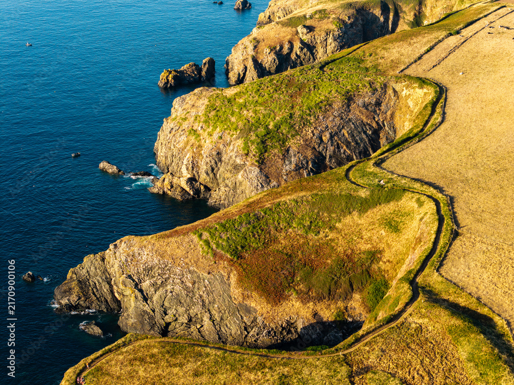 Obraz premium Winding footpath along grassy cliff edge in Pembrokeshire, Wales, evening sunlight illuminating rugged headlands and blue ocean water below