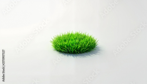 Green grass patch on white background  
