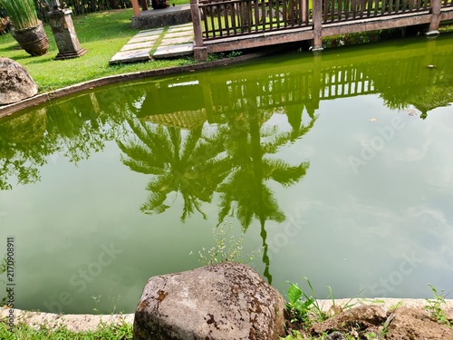Bild auf Leinwand Tropical garden pond with palm tree reflection, serene backyard water feature wi