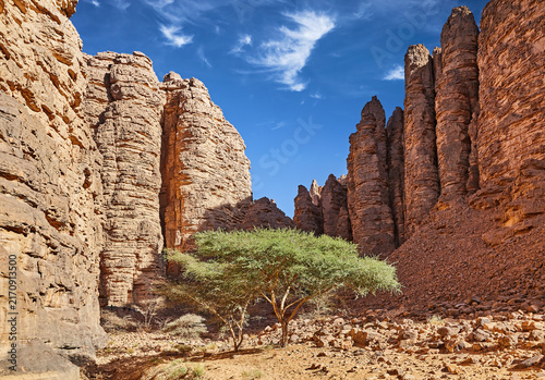 Sahara Desert, Plateau Tassili n'Ajjer in Algeria