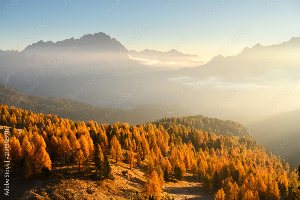 Fototapeta premium Autumn larch forest covers rolling mountain slopes beneath layers of mist and distant peaks. Scenic Dolomite landscape illuminated by soft morning light