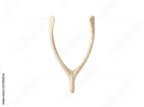 Single clean chicken wishbone isolated on a transparent background