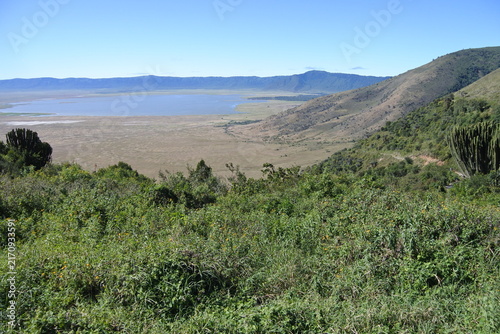 Bäume am Hang des Ngorongoro Krater