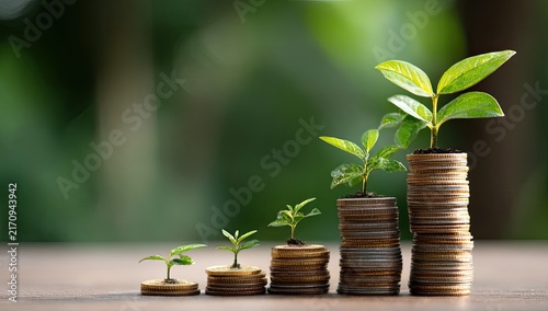 Stacked coins with growing plants