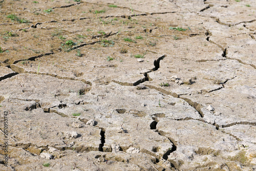 Принти на полотні Soil showing deep cracks from extreme drought conditions with tiny green sprouts surviving in a parched environment under bright daylight