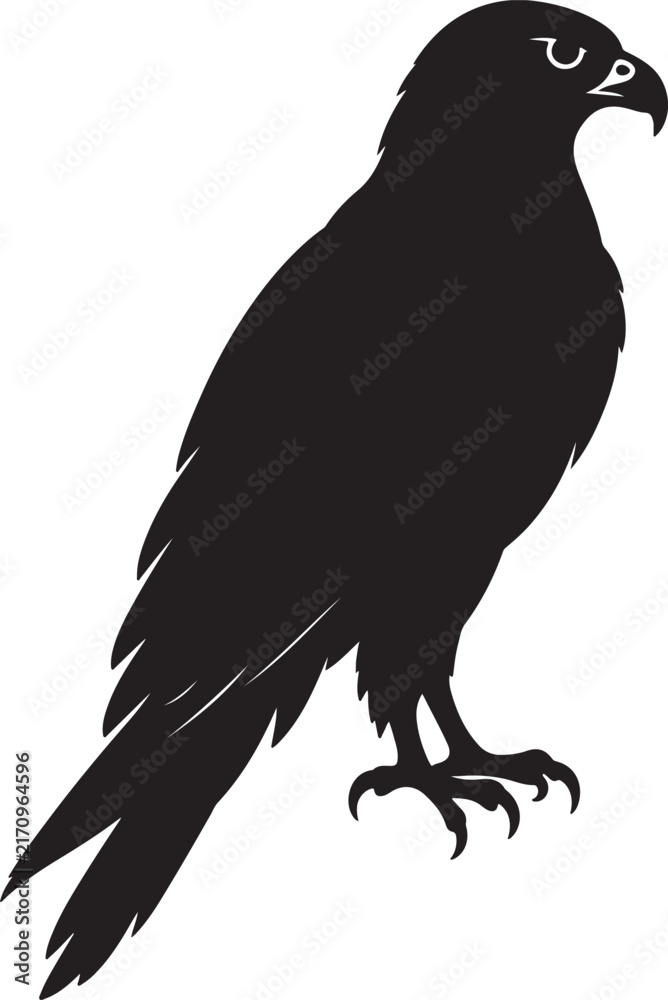 Fototapeta premium Falcon Silhouette Black Vector Bird Icon