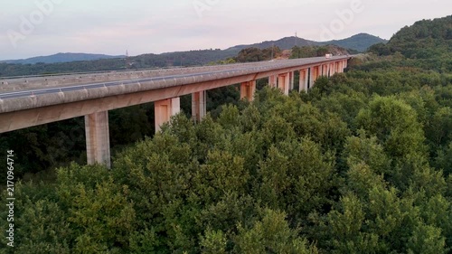 Aerial view of a highway viaduct over a green forest