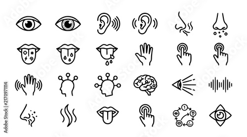 Foto Human sensory perception icon collection for five senses sight hearing smell tas