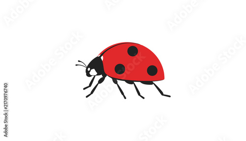 Red ladybug vector illustration with black spots and legs walking, representing nature, insects, and gardening on a white background.