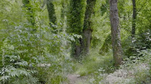Preciosa ruta botánica de la torrecilla en bejís