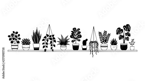 Collection of Houseplants on a Shelf - Minimalist Line Art