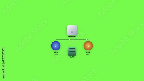 Computer Network Infrastructure Animation Showing Gateway VLAN and SSID Connections on Green Screen
