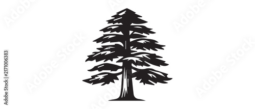 tall evergreen tree silhouette for eco friendly design projects