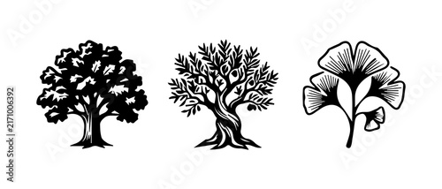 black and white illustrations of trees and a ginkgo leaf