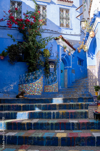 Blue colored houses and steps with colorful flower planters and flower pots at medina in Chefchaouen, Morocco. 