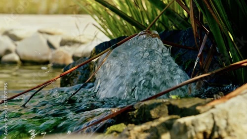 Close-up of pure bubbling water flowing over mossy rocks and reeds into a peaceful garden pond.
