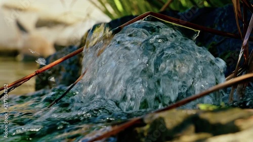 Close-up of pure bubbling water flowing over mossy rocks and reeds into a peaceful garden pond.