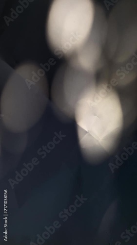 Reflection natural tree and branch leaves light and shadow blurred on white wall background.