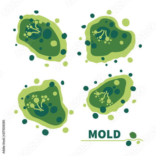 Green fungus spores growth vector illustration set.