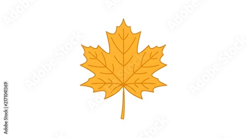 Single yellow maple leaf isolated on white background