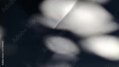 Reflection natural tree and branch leaves light and shadow blurred on white wall background.