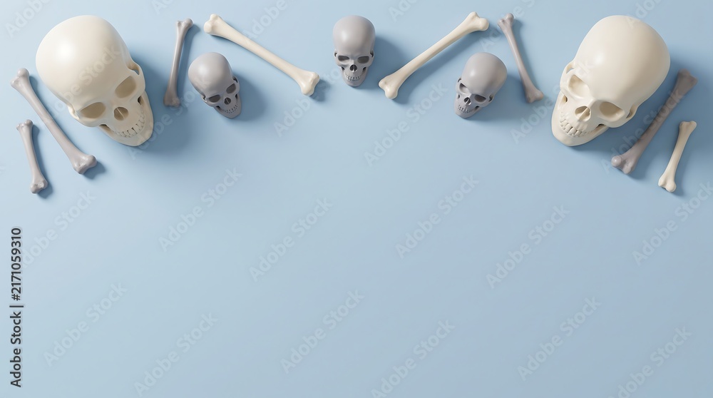 Obraz premium Top view of human skulls and various bones arranged in a semi circle on a light blue background