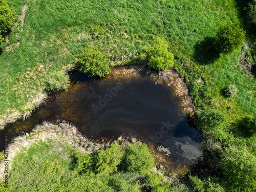 Fotografie Top down aerial view of small natural pond surrounded by green trees and meadow