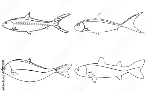 Flat, isolated educational set for drawing fish on a white background, vector.