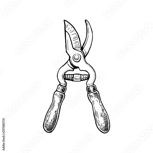 Vintage Pruning Shears Illustration, Hand Drawn Engraving of Garden Secateurs for Vineyard