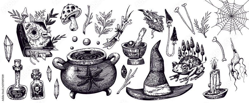 Fototapeta premium Witchcraft sketch icons set with magic cauldron, witch hat and spell book. Vector illustration of spooky Halloween items, potion bottles, mushrooms, apothecary plants, occult symbols, tattoo designs