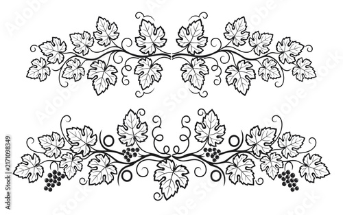 Elegant grapevine leaves and clusters decorative illustration design pattern