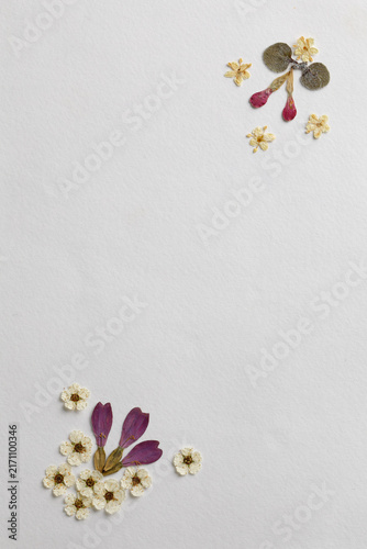 Dried flower corner with copy space